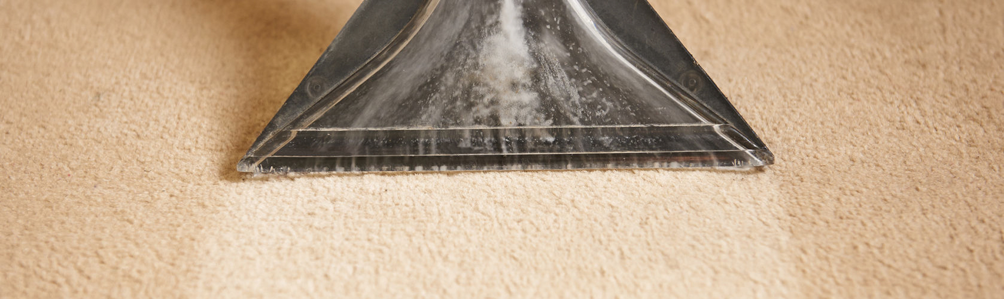 Professional Carpet Cleaning in Melbourne